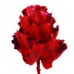 HAKEA VICTORIA SMALL 4" HEAD Red